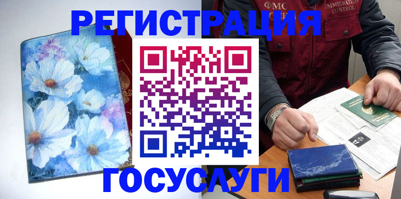 прописка регистрация в Камышине